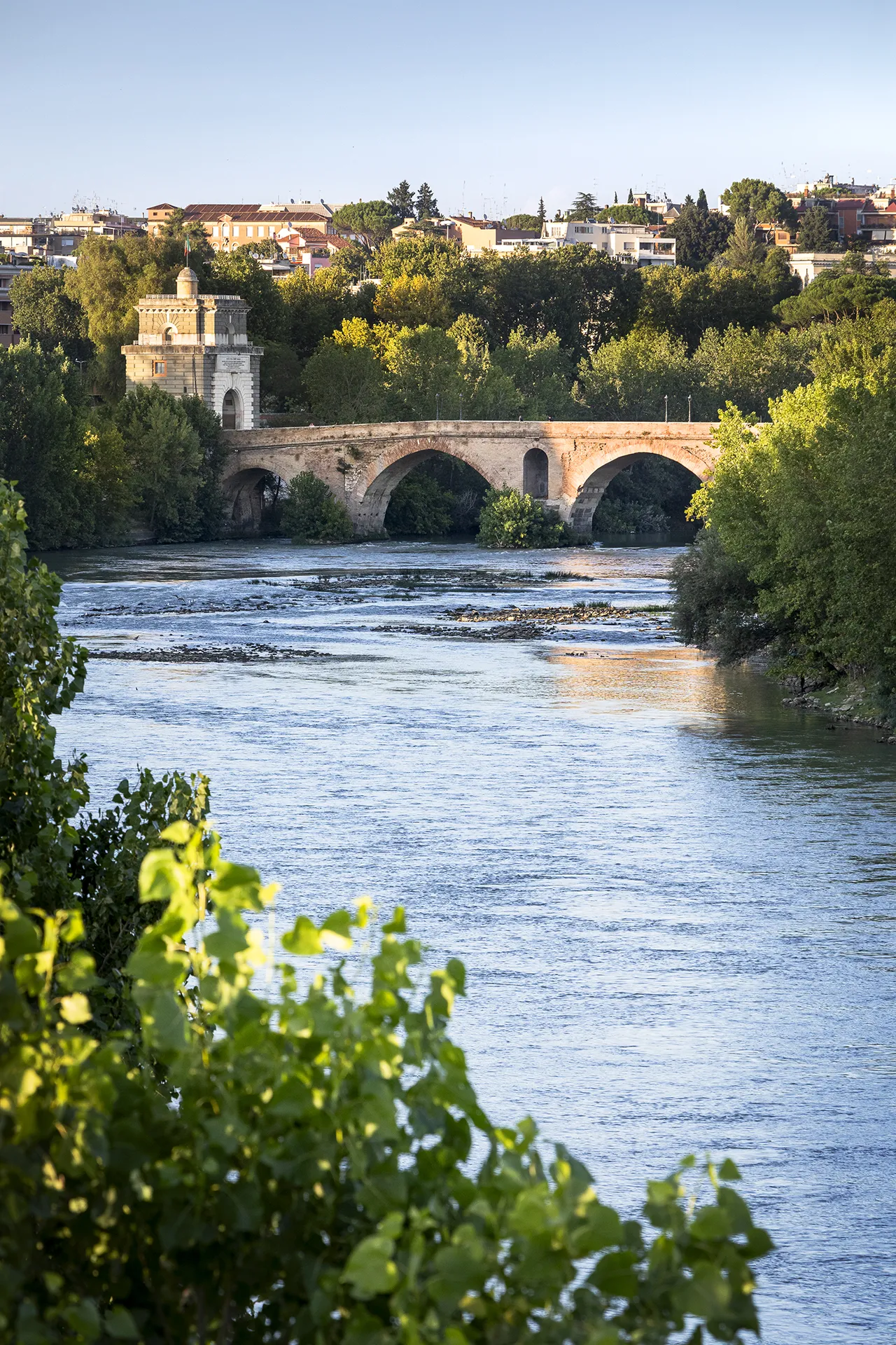 Scorcio del Tevere a Roma.